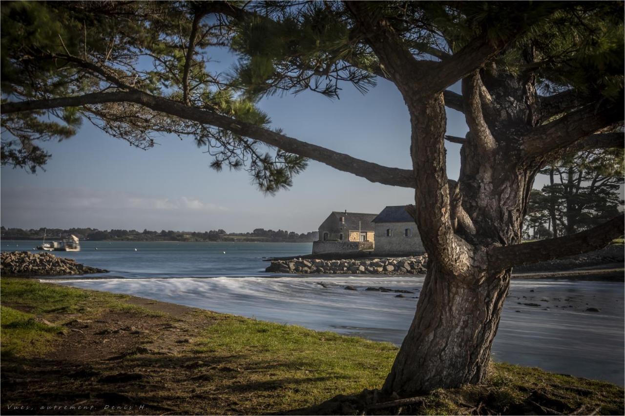 Les Villas De Locmiquel Bord De Mer 巴登 外观 照片